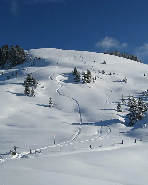 kam_002844_freeridenamschwarzkogel_fotografkatharinaszuecs.jpg