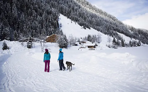 beim_winterwandern_die_natur_genieen.jpeg