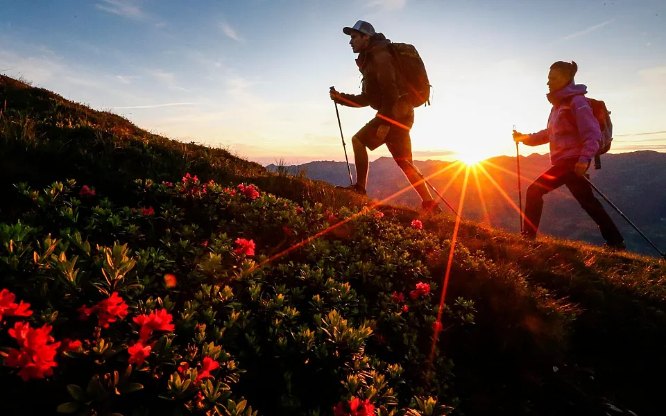 sommer_wandern_foto_dominic_ebenbichler_25.jpg
