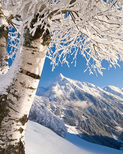 winter_landschaft__paul_sarth_21.jpg